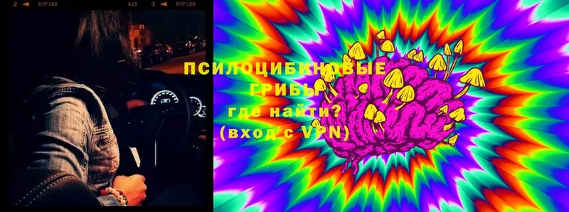 где продают   MEGA как войти  Галлюциногенные грибы Magic Shrooms  Краснозаводск 